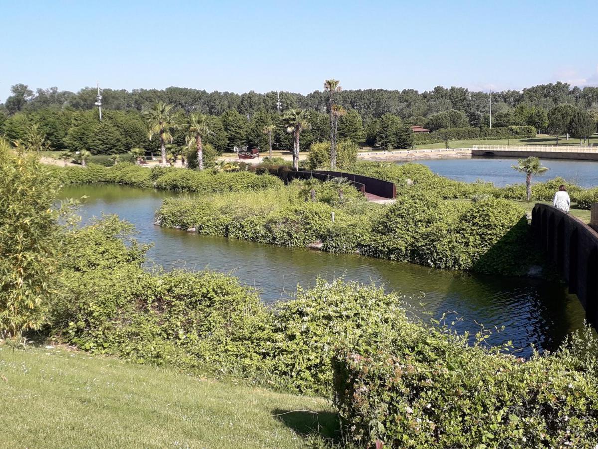Centrico Y Con Encanto En Tierra De Vinos Logroño Exterior foto